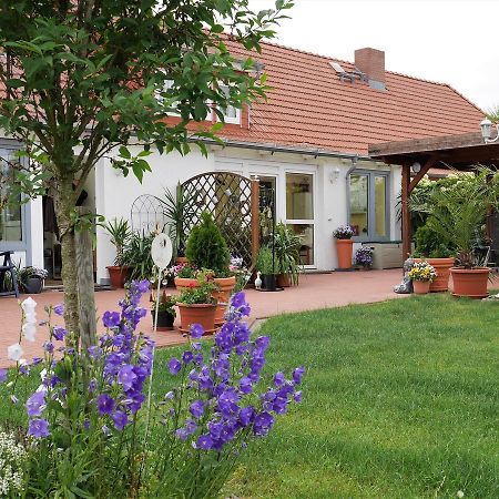 Pretty Apartment In Am Salzhaff With Fireplace Rakow Extérieur photo